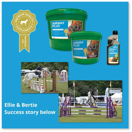 Airway Plus Powder - Global Herbs - Ashurst Equestrian & Country