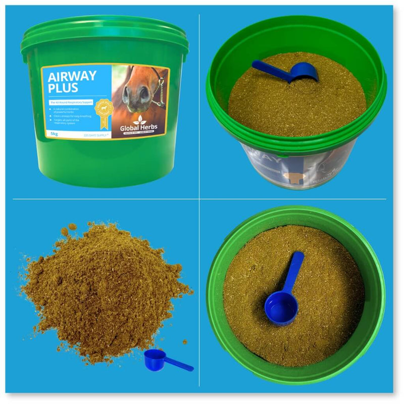 Load image into Gallery viewer, Airway Plus Powder - Global Herbs - Ashurst Equestrian &amp; Country
