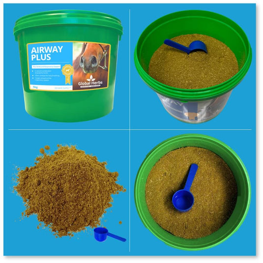 Airway Plus Powder - Global Herbs - Ashurst Equestrian & Country