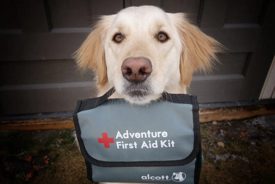 Alcott Adventure First Aid Kit - Ashurst Equestrian & Country