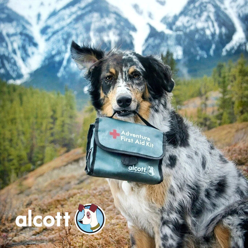 Load image into Gallery viewer, Alcott Adventure First Aid Kit - Ashurst Equestrian &amp; Country

