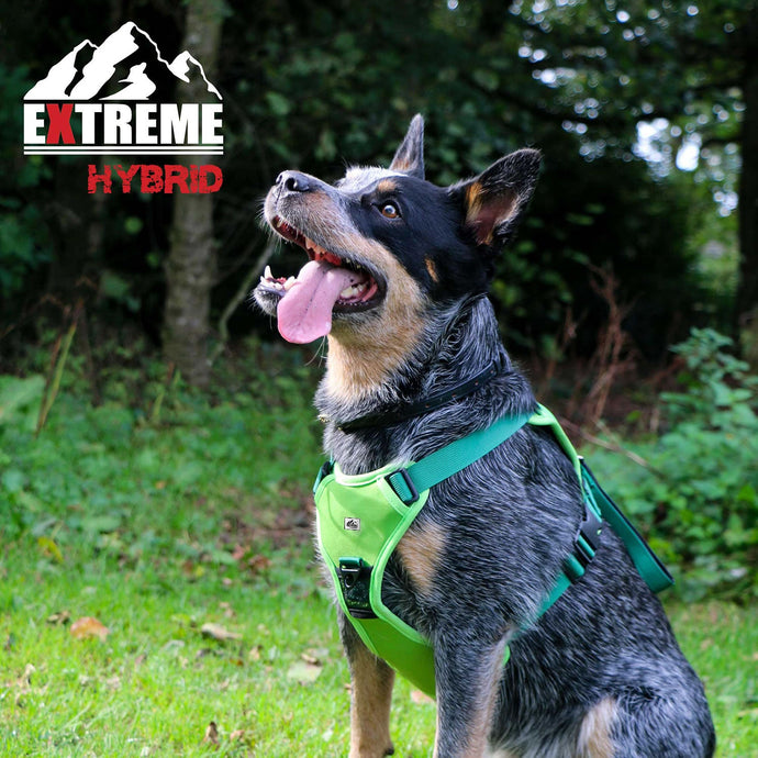 Ancol Extreme Hybrid Harness Field Green - Ashurst Equestrian & Country