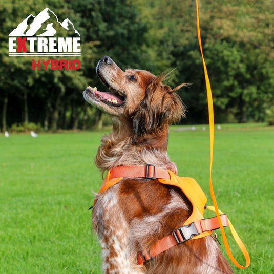 Ancol Extreme Hybrid Harness Hazard Orange - Ashurst Equestrian & Country