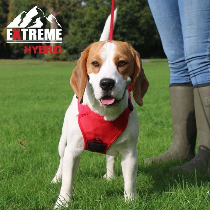 Ancol Extreme Hybrid Harness Poppy Red - Ashurst Equestrian & Country