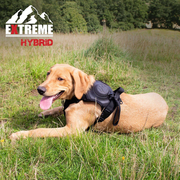 Ancol Extreme Hybrid Harness Tactical Black - Ashurst Equestrian & Country