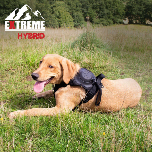Ancol Extreme Hybrid Harness Tactical Black - Ashurst Equestrian & Country
