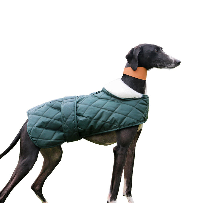 Ancol Heritage Quilted Hound Coat - Ashurst Equestrian & Country