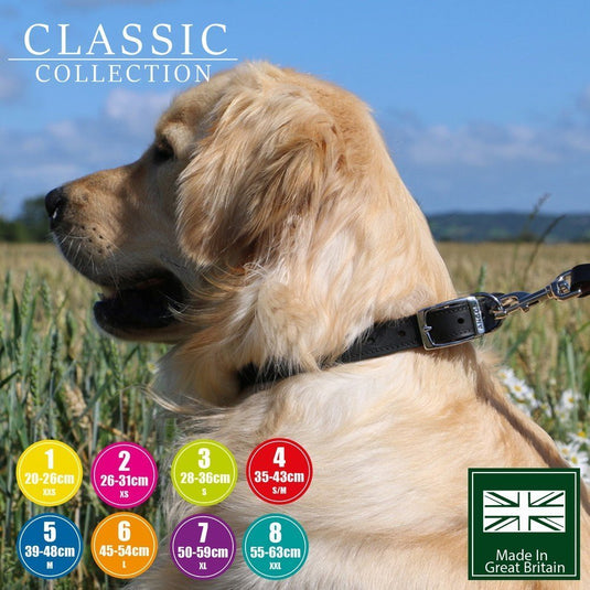 Ancol Leather Collar - Ashurst Equestrian & Country