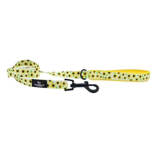 Ancol Soho Pet Lead Sunflower - Ashurst Equestrian & Country