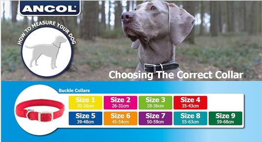 Ancol Timberwolf Collar - Ashurst Equestrian & Country