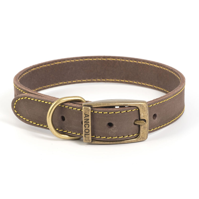 Load image into Gallery viewer, Ancol Timberwolf Collar Sable - Ashurst Equestrian &amp; Country
