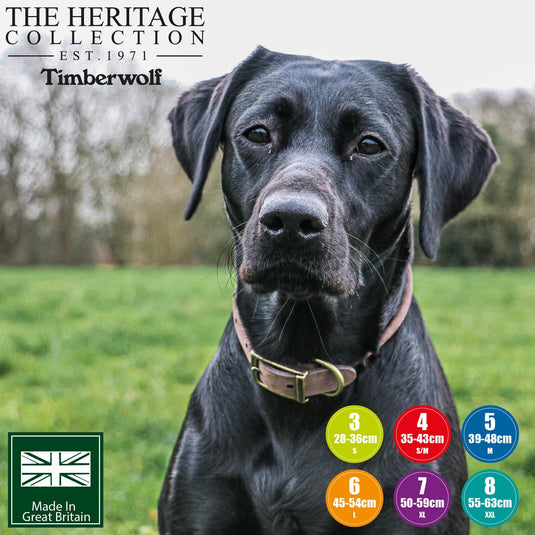 Ancol Timberwolf Round Collar - Ashurst Equestrian & Country