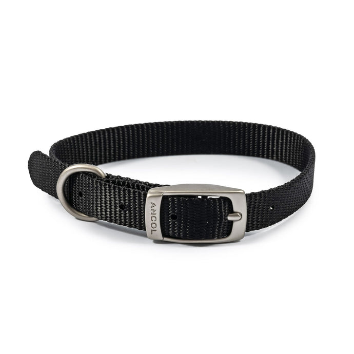 Ancol Viva Buckle Collar Black - Ashurst Equestrian & Country