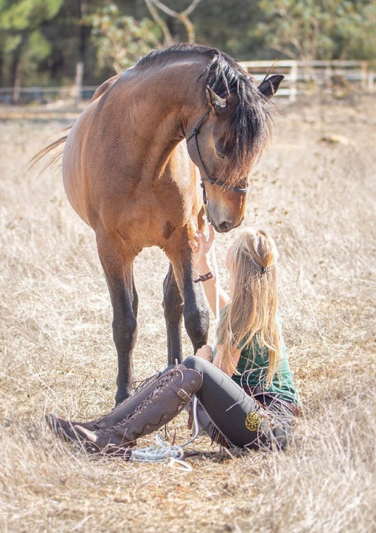 Andalucia Boots - Brown - Ashurst Equestrian & Country