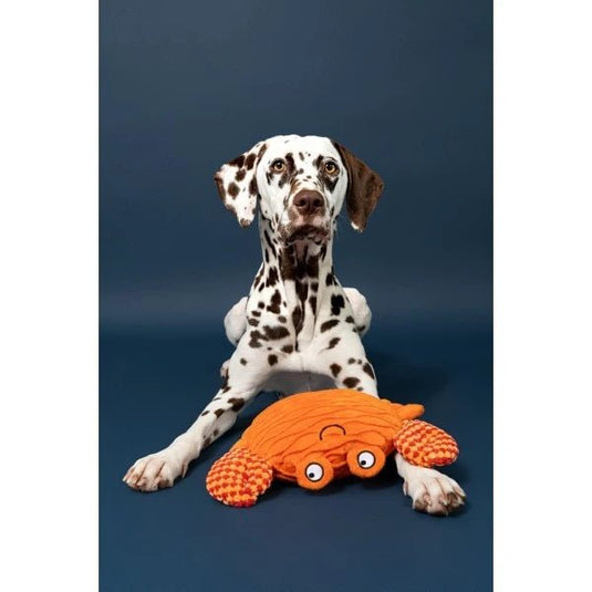 Animal Instincts Sustainables Sea Life Crumpled Crab - Ashurst Equestrian & Country
