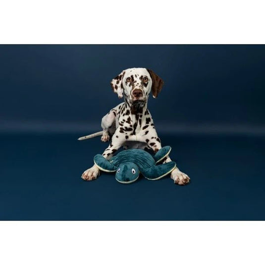 Animal Instincts Sustainables Sea Life Crumpled Sea Turtle - Ashurst Equestrian & Country