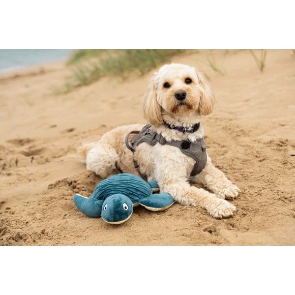 Load image into Gallery viewer, Animal Instincts Sustainables Sea Life Crumpled Sea Turtle - Ashurst Equestrian &amp; Country
