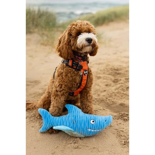 Load image into Gallery viewer, Animal Instincts Sustainables Sea Life Crumpled Shark - Ashurst Equestrian &amp; Country
