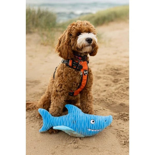Animal Instincts Sustainables Sea Life Crumpled Shark - Ashurst Equestrian & Country