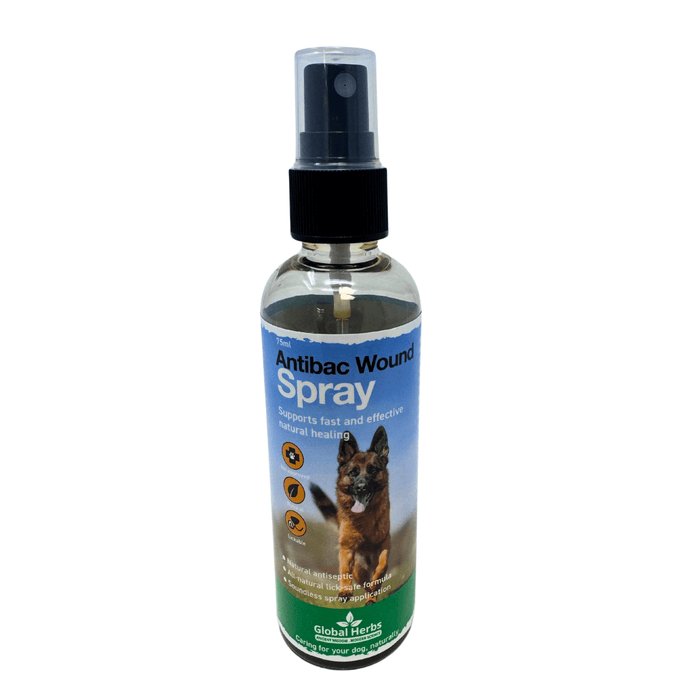 Antibacterial wound spray 75ml - Global Herbs - Canine - Ashurst Equestrian & Country