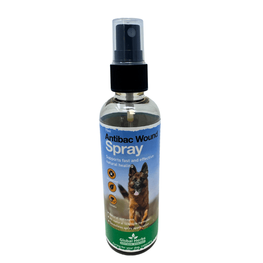 Antibacterial wound spray 75ml - Global Herbs - Canine - Ashurst Equestrian & Country