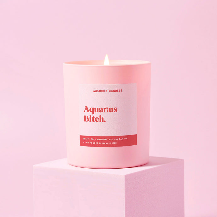 Aquarius Birthday Gift Funny Zodiac Candle Aquarius Bitch - Ashurst Equestrian & Country