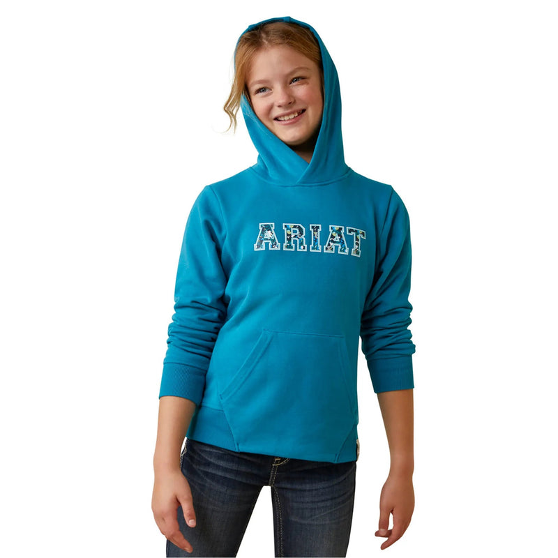 Load image into Gallery viewer, Ariat Youth&#39;s 3D Logo 2.0 Hoodie - Mosaic Blue - Ashurst Equestrian &amp; Country
