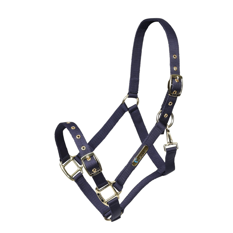 Load image into Gallery viewer, ARMA Adjustable Headcollar - Ashurst Equestrian &amp; Country
