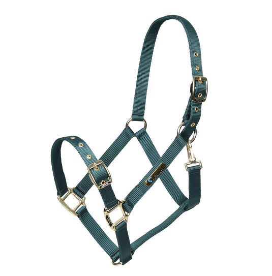 ARMA Adjustable Headcollar - Ashurst Equestrian & Country