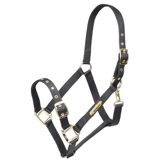 ARMA Adjustable Headcollar - Ashurst Equestrian & Country