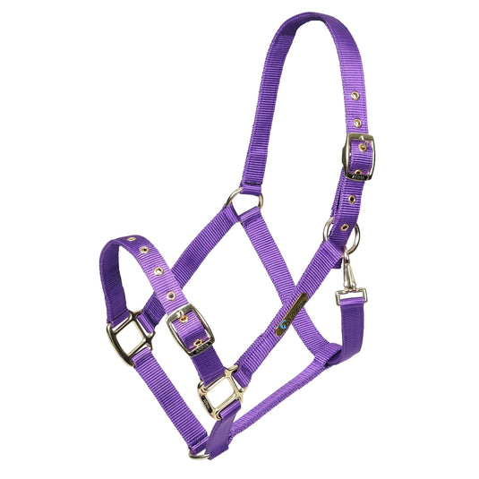 ARMA Adjustable Headcollar - Ashurst Equestrian & Country