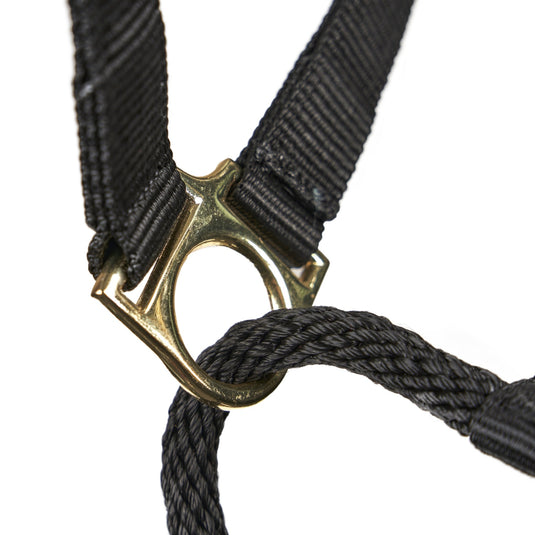 ARMA Control Headcollar - Ashurst Equestrian & Country