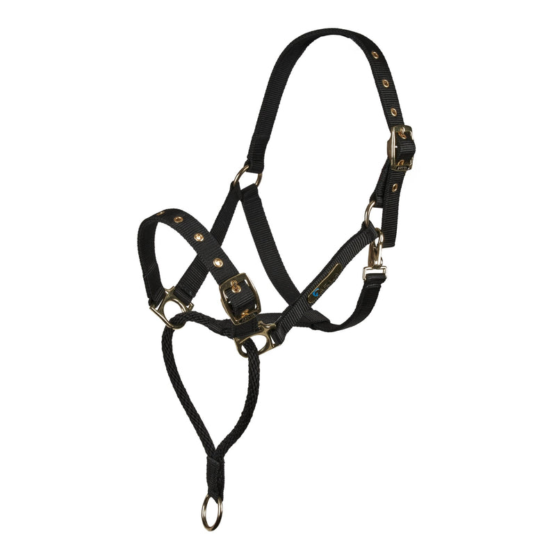 Load image into Gallery viewer, ARMA Control Headcollar - Ashurst Equestrian &amp; Country
