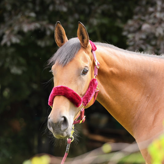ARMA Faux Fur Headcollar & Lead Rope - Ashurst Equestrian & Country