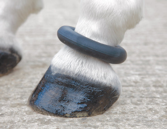 ARMA Fetlock Ring - Ashurst Equestrian & Country