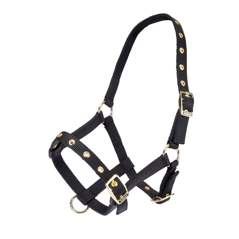 Load image into Gallery viewer, ARMA Foal Headcollar - Ashurst Equestrian &amp; Country
