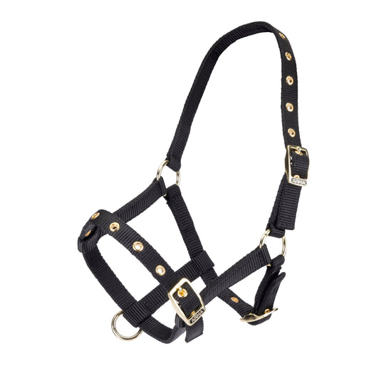 ARMA Foal Headcollar - Ashurst Equestrian & Country
