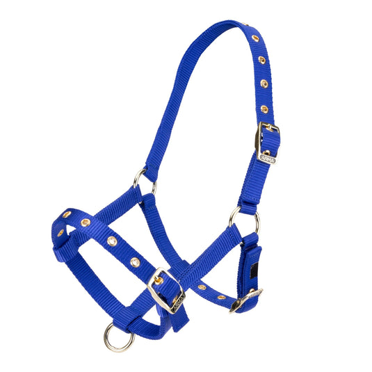 ARMA Foal Headcollar - Ashurst Equestrian & Country