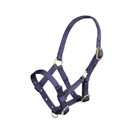 ARMA Foal Headcollar - Ashurst Equestrian & Country