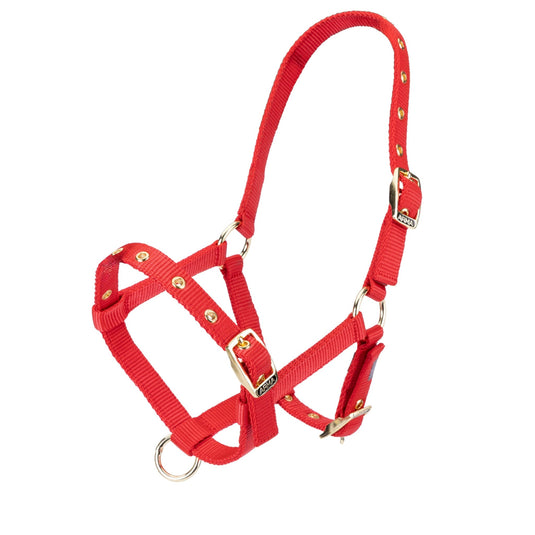 ARMA Foal Headcollar - Ashurst Equestrian & Country