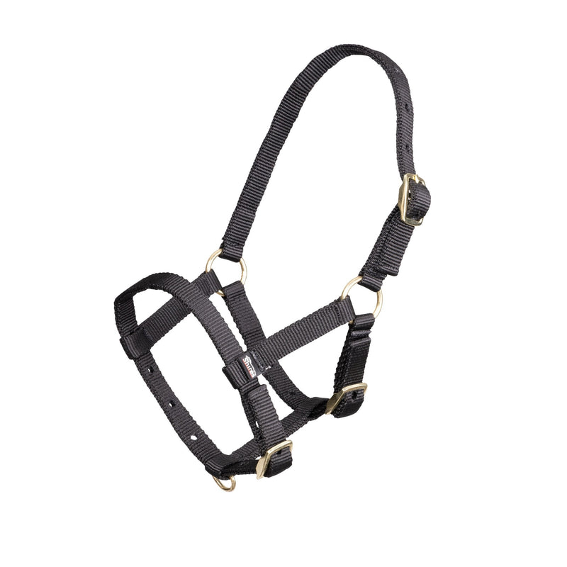 Load image into Gallery viewer, ARMA Foal Headcollar - Ashurst Equestrian &amp; Country
