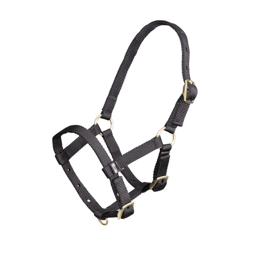 ARMA Foal Headcollar - Ashurst Equestrian & Country
