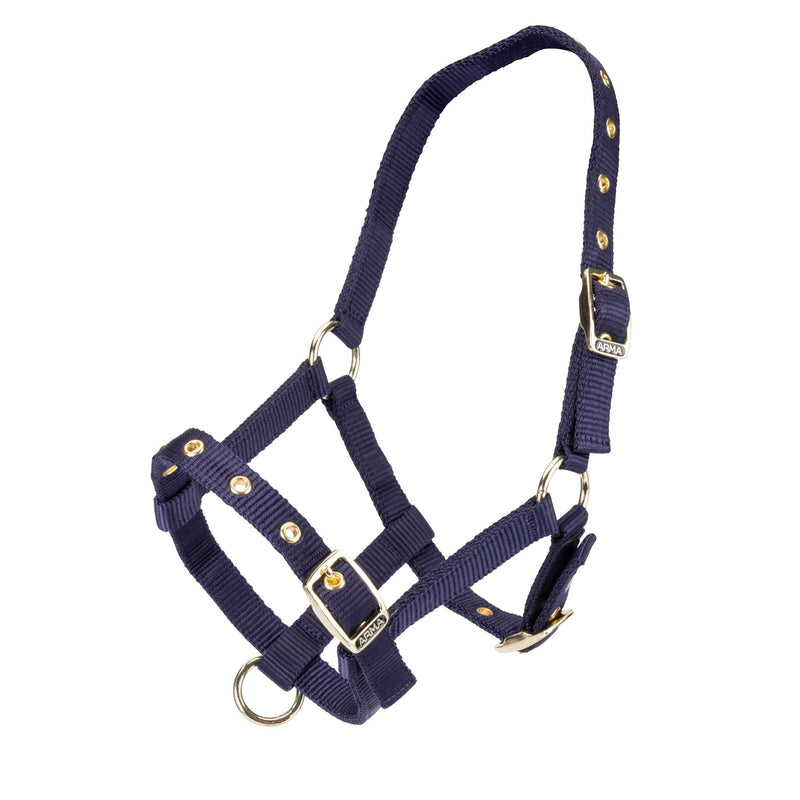 Load image into Gallery viewer, ARMA Foal Headcollar - Ashurst Equestrian &amp; Country
