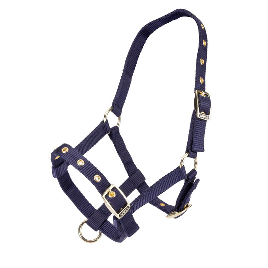 ARMA Foal Headcollar - Ashurst Equestrian & Country