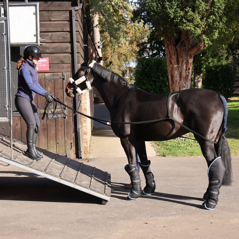 Load image into Gallery viewer, ARMA Loading Aid - Ashurst Equestrian &amp; Country

