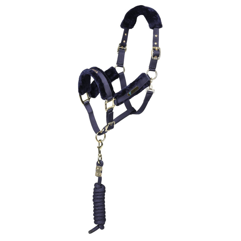Load image into Gallery viewer, ARMA Logo Headcollar &amp; Lead Rope - Ashurst Equestrian &amp; Country
