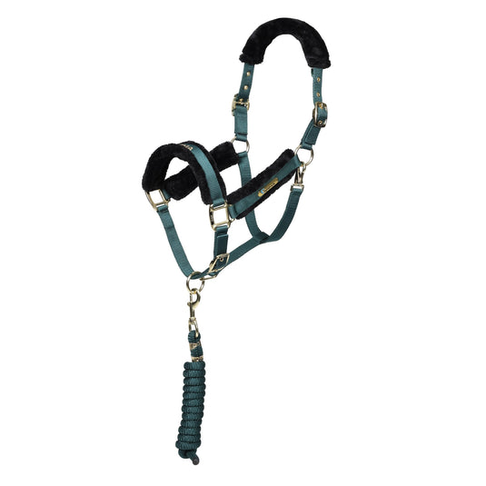 ARMA Logo Headcollar & Lead Rope - Ashurst Equestrian & Country