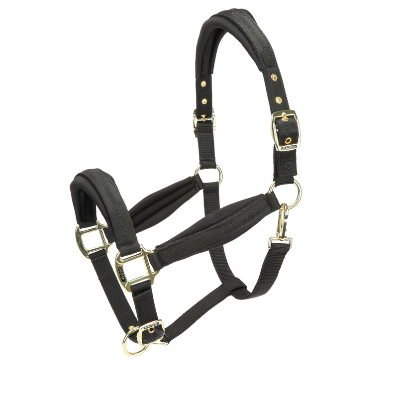 Load image into Gallery viewer, ARMA Padded Headcollar - Ashurst Equestrian &amp; Country
