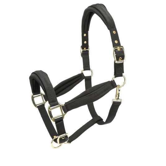 ARMA Padded Headcollar - Ashurst Equestrian & Country