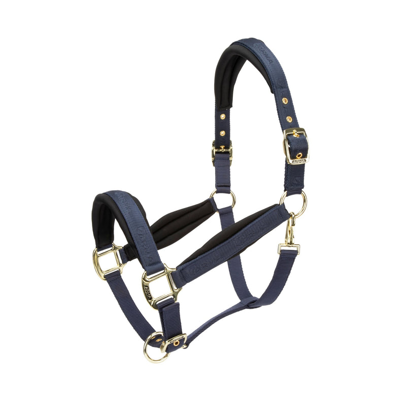 Load image into Gallery viewer, ARMA Padded Headcollar - Ashurst Equestrian &amp; Country
